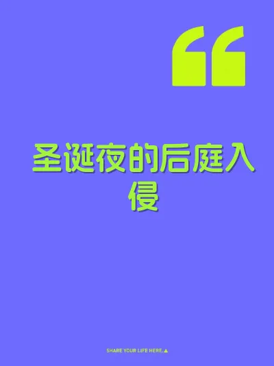 圣诞夜的后庭入侵