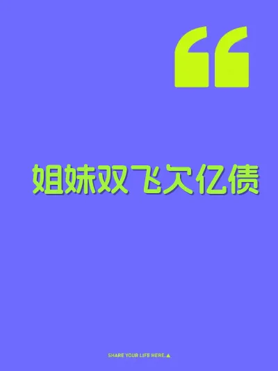 姐妹双飞欠亿债