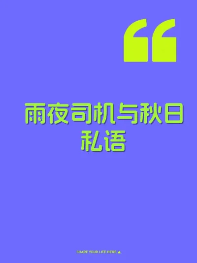雨夜司机与秋日私语