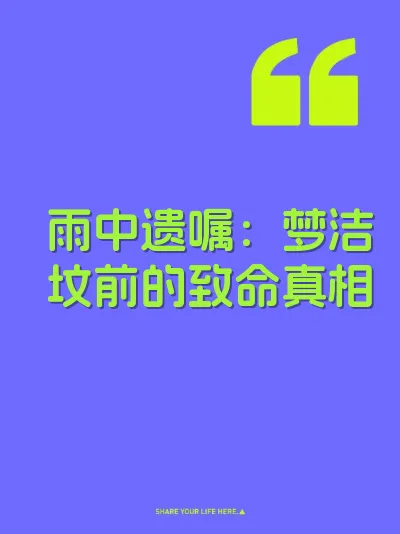雨中遗嘱：梦洁坟前的致命真相