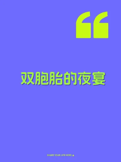 双胞胎的夜宴
