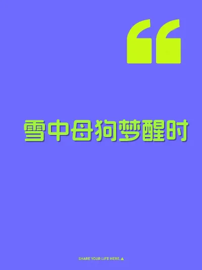 雪中母狗梦醒时